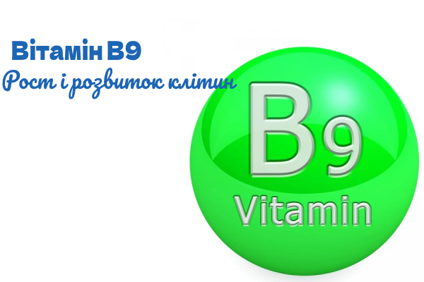 Вітамін B9 Energy Fitness